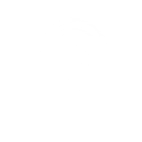 Telecommunication